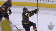 happy ice hockey GIF by NHL