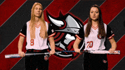 Minnesota Softball GIF by Bethany Lutheran College