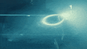 Get In War GIF by starkl gifs