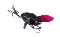 Ripple Cicada Sticker by Chasebaits