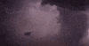 rain storming GIF