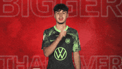 Vfl Wolfsburg GIF by Bundesliga