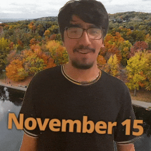 November 15