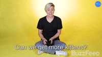 More Kittens