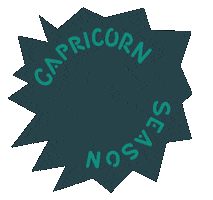 nateillustrates zodiac astrology capricorn zodiac sign Sticker