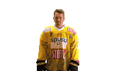 Hockey Ice Sticker by Vienna Capitals