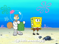 season 7 episode 20 GIF by SpongeBob SquarePants
