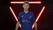 Tsg Hoffenheim What GIF by Bundesliga