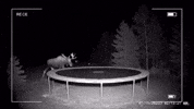 Ai Jumping GIF by Respective