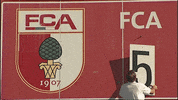 Wwk Arena Goal GIF by FC Augsburg 1907