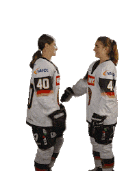Ice Hockey Hug Sticker by deb_teams