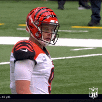 Regular Season Ugh GIF by NFL