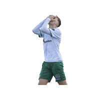 Sport Heerlen Sticker by Groene ster