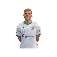 Sport Heerlen Sticker by Groene ster
