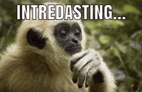 Thinking Think GIF