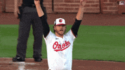 Celebrate Major League Baseball GIF by MLB