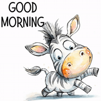 Good Morning Hello GIF