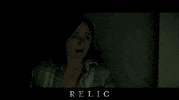 Film Festival Movie GIF by Signature Entertainment
