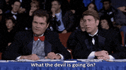 Eugene Levy Dogs GIF by Coolidge Corner Theatre