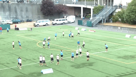 flikulti ultimate frisbee flik GIF