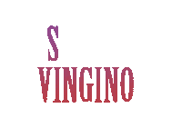 Senna Sticker by Vingino
