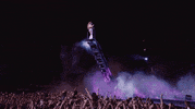 crowd coachella GIF