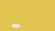 goldenwolf animation domination adhd fxx diplo GIF