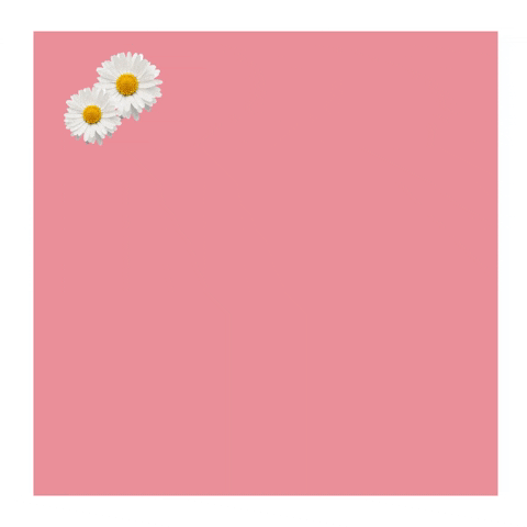 itpestetyka giphyupload GIF