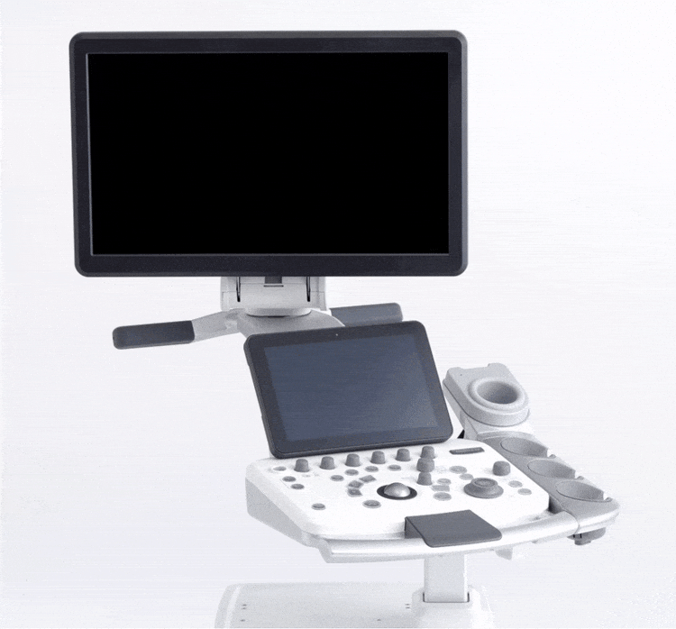 PuertoRico78 giphyupload GIF