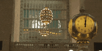 new york GIF