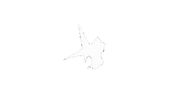 Animation Splat Sticker by youmotion.com