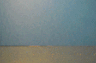 stop-motion ducks GIF by Philippa Rice