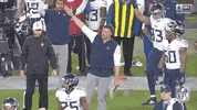 National Football League GIF by NFL