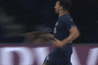 Paris Saint-Germain Psg GIF