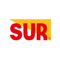 Logo Sticker by Grupo Sur Nicaragua