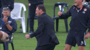 wswanderersfc football celebration goal wanderers GIF