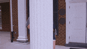LongwoodUniversity lu lancer longwood longwood university GIF