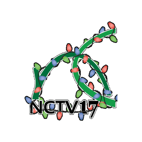 napervillecommunitytv17 giphygifmaker television community illinois Sticker