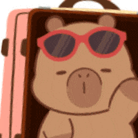 Capybara GIF by Miniso Canada