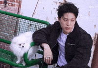 Dog Puppy GIF