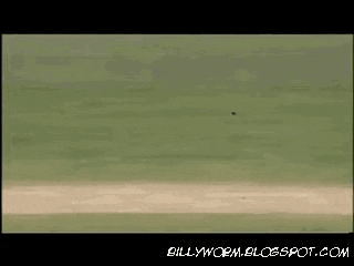 cricket GIF