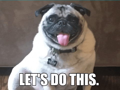 JuliaChester giphygifmaker go pug lets do this GIF
