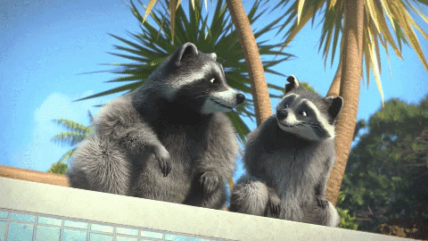 Pets Check GIF by TeamTO