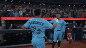 Blue Jays Baseball GIF by Toronto Blue Jays