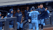 Blue Jays Baseball GIF by Toronto Blue Jays