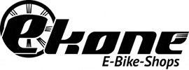 ekone e-bike ekone GIF