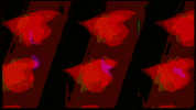 Video Art GIF by cskonopka