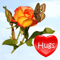Hugs And Kisses GIF
