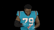 Football Wow GIF by Carolina Panthers