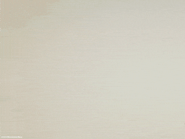 marmaladebleue food fire typography trump GIF